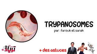 Parasitologie خفيف ظريف  trypanosomes  par  farouk et sarah [upl. by Natica]