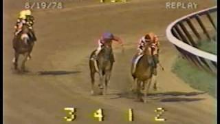 Affirmed vs Alydar  1978 Travers Stakes Final Meeting [upl. by Jeffry443]