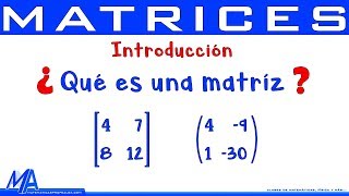 Matrices Introducción  Conceptos básicos [upl. by Razec916]