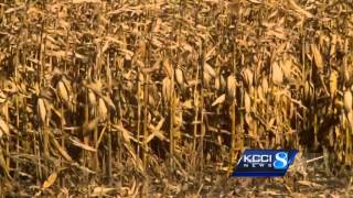 Farmers react to AP report on ethanol [upl. by Meill]