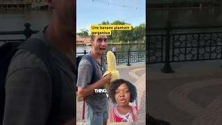 🤔 😳Une banane plantain pas comme les autres  a urge plantain never seen before rare plantain [upl. by Danielle]