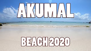 Akumal beach [upl. by Ahsekar144]