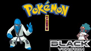 Pokemon Black  Nacrene City [upl. by Higgs]