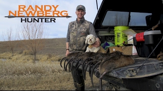 How to Trap Muskrats with Randy Newberg Hunter [upl. by Silberman]