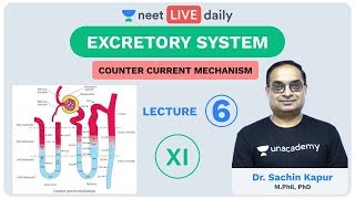 Excretory System  Lecture 6  Unacademy NEET  LIVE DAILY  NEET Biology  Dr Sachin Kapur [upl. by Annai]