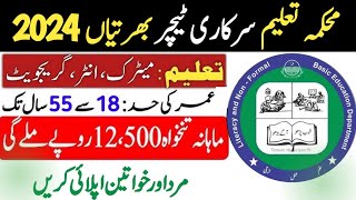 Teaching Jobs in Punjab Pakistan 2024  Govt School Job 2024  Educators Jobs 2024  Teacher Jobs [upl. by Airdnahs948]