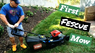 Mowing The New Fescue Sod For The First Time [upl. by Ardeha]