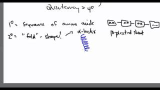 Amino Acid 26 Primary Protein Structure [upl. by Sew639]