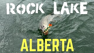 Rock Lake Alberta Fishing [upl. by Aikin]