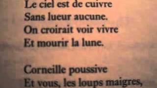 Dans LInterminablepar Paul Verlaine [upl. by Anelrahs]