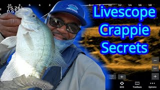 Livescope Crappie Fishing Tips to Catch Crappie Year Round [upl. by Padraic]