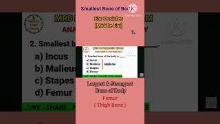 RRB Pharmacist exam preparation notes 2024 Anatomy smallest bone Stapes [upl. by Otrebor]