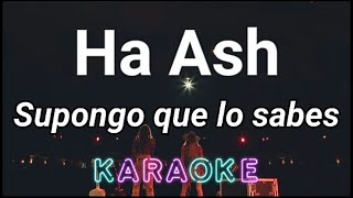 Karaoke Ha Ash Supongo Que Lo Sabes [upl. by Alleusnoc]