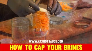 How to Cap your Brines when making homemade fermented hot sauce hotsauce [upl. by Teece227]