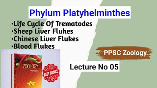 Life Cycle Of Trematodes  Chinese Liver Fluke  Sheep Liver Fluke  Blood Fluke  Lecture No 05 [upl. by Ferretti]