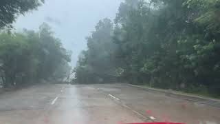 Hurricane Beryl The Woodlands Tree Blocking Woodlands Parkway [upl. by Monah]