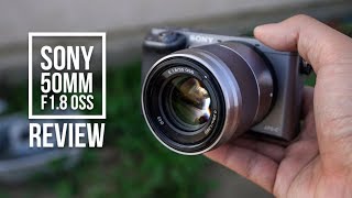 Sony 50mm F18 OSS Review 2017  Sony a6000 Image Samples [upl. by Nyliac]