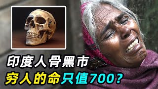 印度神秘黑产：穷人死后，还创造几十倍利润？ [upl. by Ennirac]