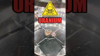 Uranium Most Dangerous Element ⚠️ shorts [upl. by Atnwahs]