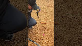 November 12 2024 metal detecting metaldetecting [upl. by Ahcsim]