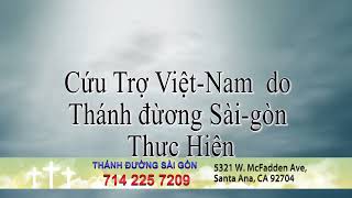 vietpho tv Thánh Đường Sài Gòn 11 01 2024 [upl. by Aelahc]