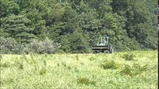 Mowing with 4020 John Deere and Bushhog brush mower [upl. by Krystin]