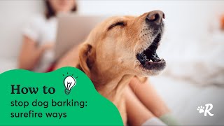 Expert Tips for How to Stop Dog Barking in Seconds [upl. by Leveridge]