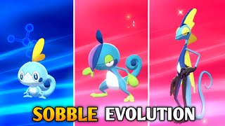 How To Evolve Sobble Into Drizzle And Inteleon In Pokemon Sword amp Shield  Galar Pokedex [upl. by Jahdal]