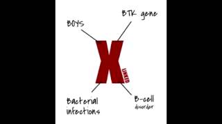 Xlinked Brutons Agammaglobulinemia  Defect Presentation amp Findings [upl. by Etnom]