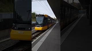 Waldenburgerbahn mit Tramlink 107 Be68 waldenburgeli wb blt trainspotting tram shorts yt [upl. by Wagoner]