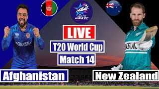 New Zealand Vs Afghanistan Live 14th T20  AFG vs NZ Playing amp Pitch Rreport  T20 World Cup Live [upl. by Ajiam]