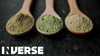 Kratom Effects Explained  Inverse [upl. by Knarf]