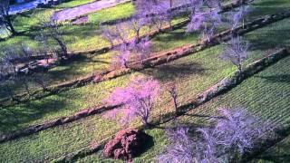 Koome K300C Quadcopter Test [upl. by Afihtan873]