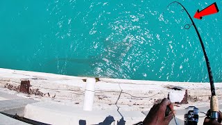 Key West Mutton Snapper Fishing [upl. by Erdnassak]