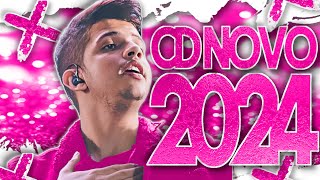 NADSON O FERINHA 2024 💗 PRA SE APAIXONAR 💗 CD NOVO 2024  MÚSICAS NOVAS [upl. by Eeleak596]