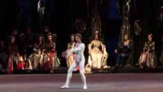 Andrei Uvarov in Swan Lake  2 [upl. by Mcilroy238]