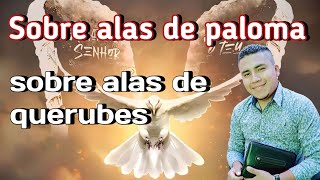 sobre alas de paloma 🕊️ Ruben Aguilar oficial [upl. by Kyne740]