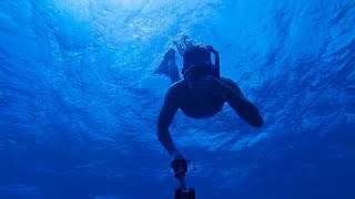 Dive Marsa Alam 2014 720p  GOPRO Hero 3 black [upl. by Assirehs97]