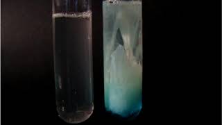 Exposure of heavy metal salt solutions to protein  with subtitles [upl. by Trisha]