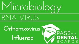 Orthomyxovirus and influenza  RNA Viruses  NBDEUSMLE [upl. by Cann]