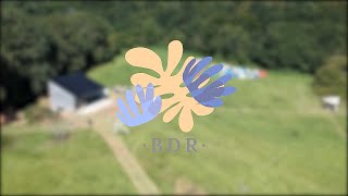 Festival Bois de Rose 1  Aftermovie [upl. by Lissner619]