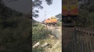 WDG6G Diesel Loco Shed Gooty Engine Full Honking Oil Tanker highspeedtrain shorts diesel railway [upl. by Mchail62]