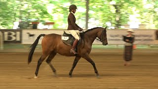 ERASMOS amp Daniela Entner  EC ARABIEN SPORTHORSES  July 2021 [upl. by Medrek]