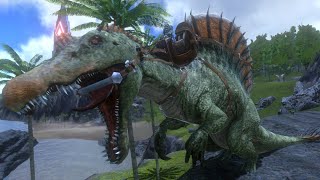 HIGH LEVEL 290 SPINO TAMINGARK MOBILE [upl. by Ieppet95]