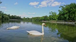 KISSENA PARK 9 1 2024 [upl. by Allard]