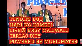 TONGITS DUO LIVE AT BRGY MALIWALO TARLAC CITYPOWERED BY MUSICMATES [upl. by Gustave]