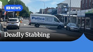 Newcastle stabbing leaves man in his 20s dead  ABC News [upl. by Nnyladnarb]