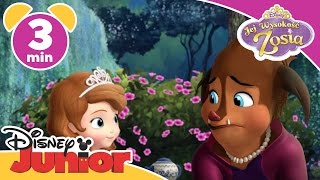 Jej Wysokość Zosia  Księżniczka Charlotte Oglądaj w Disney Junior [upl. by Bartholomeo]