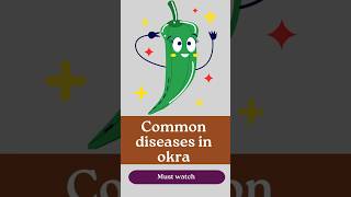 Common diseases in Okra cultivation [upl. by Heinrich373]