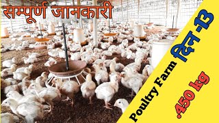 13 Days Poultry Farming  मुर्गी पालन 13 दिन Management [upl. by Nyral]